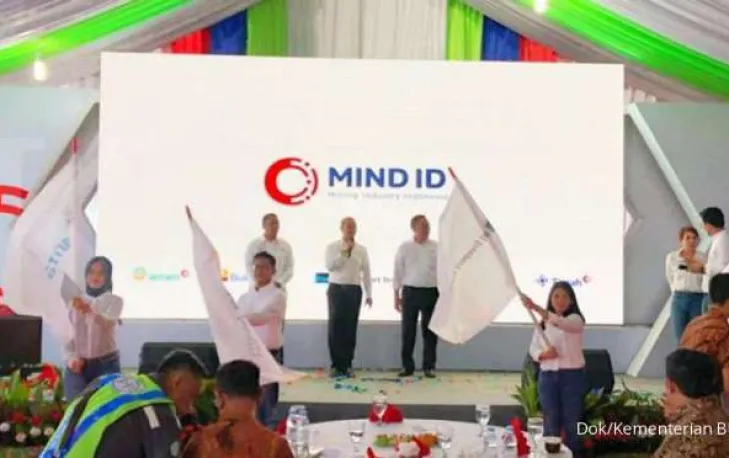 Freeport & Vale sudah direbut, apa lagi yang diincar CEO MIND ID Budi Gunadi Sadikin?