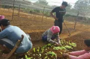 Well Harvest Kembangkan PPM Berbasis Desa