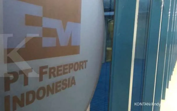 Proyek smelter Freeport di Gresik mencapai 7%