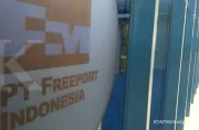 Berdampak ke izin ekspor Freeport tunggu kepastian izin penundaan proyek smelter