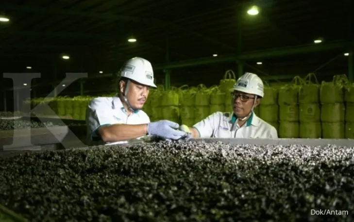 Smelter feronikel Halmahera Timur tersendat pengadaan listrik, ini kata Antam