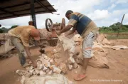 Batal diambil Antam tambang emas Nusa Halmahera Mineral diborong pengusaha lokal