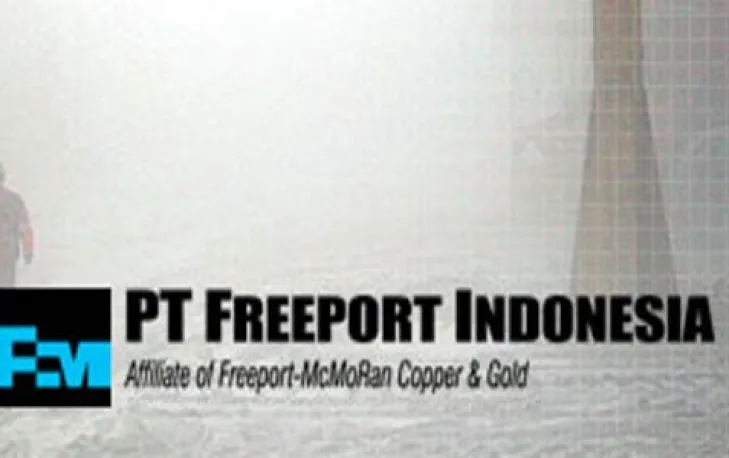 Ujian Pertama Menteri Archandra, Usir Freeport