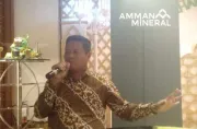 Amman Mineral Nusa Tenggara Undang Investor Bangun Smelter