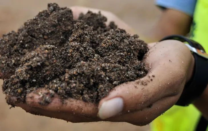 Timah Patok Pendapatan dari Anak Usaha Capai 10 Persen