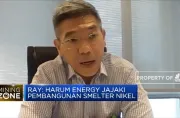 Jorjoran Harum Energy Caplok Lagi Smelter Nikel Hampir Rp1 T