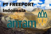 Antam Diramal Bakal Ambli Alih 51 Saham Freeport