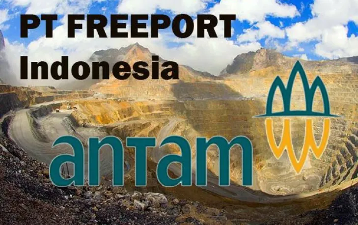 Antam Diramal Bakal Ambli Alih 51% Saham Freeport