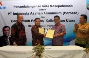 Inalum Melebarkan Sayap dengan Membangun Smelter Baru