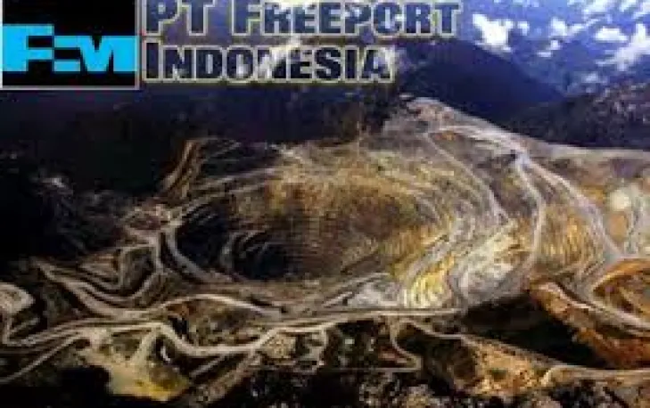 DPR Kecewa Freeport Ogah Bangun Smelter