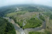 Hutan Lindung di Bengkulu Simpan Kandungan Emas 