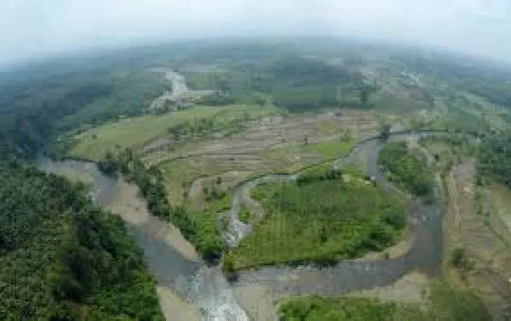 Hutan Lindung di Bengkulu Simpan Kandungan Emas 