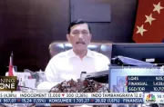 Luhut Bicara 3 Komoditas Primadona Bawa RI ke Industrialisasi