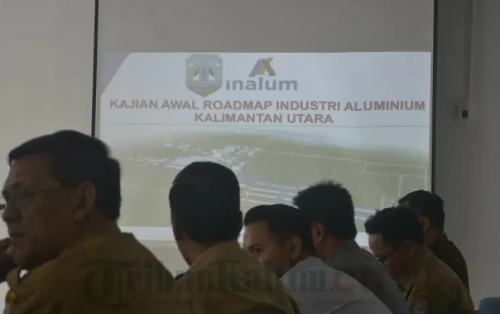 Tak Hanya Inalum, Dua Investor Minat Bangun Smelter Nikel dan Besi