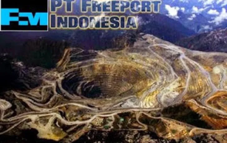 Freeport Ingin Ada Perjanjian Internasional Soal Stabilitas Investasi