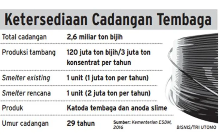 Mineral Melimpah, Smelter Tak Seberapa