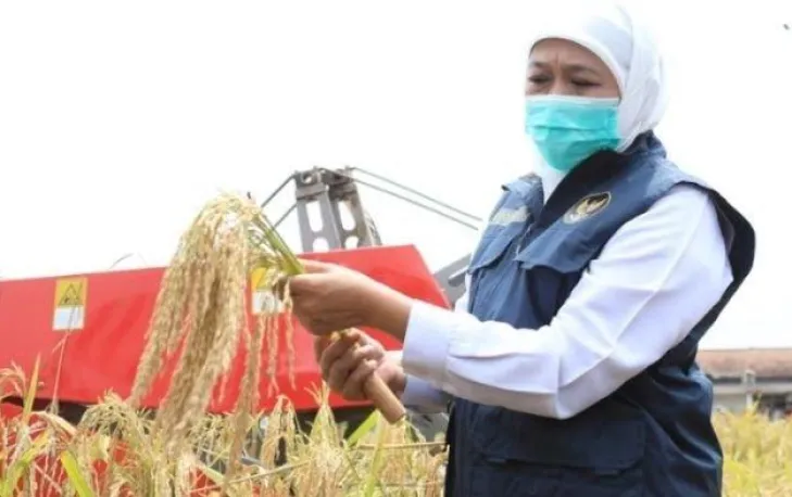 Siap-Siap, Proyek-Proyek Besar Jatim Butuh Ribuan Pekerja, Khofifah Beri Persyaratan Berikut    